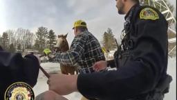 Saratoga Springs police and neighbors rescue horse from icy pond